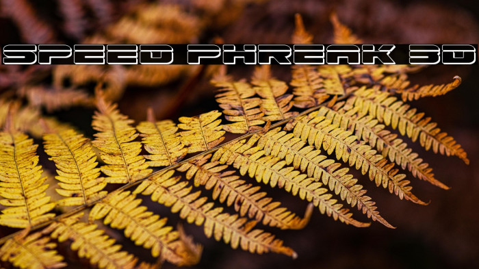 Speed Phreak 3D Example 1