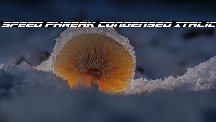 Speed Phreak Condensed Italic Example 3