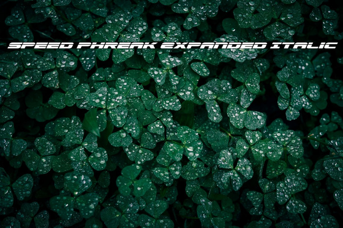 Speed Phreak Expanded Italic Example 1