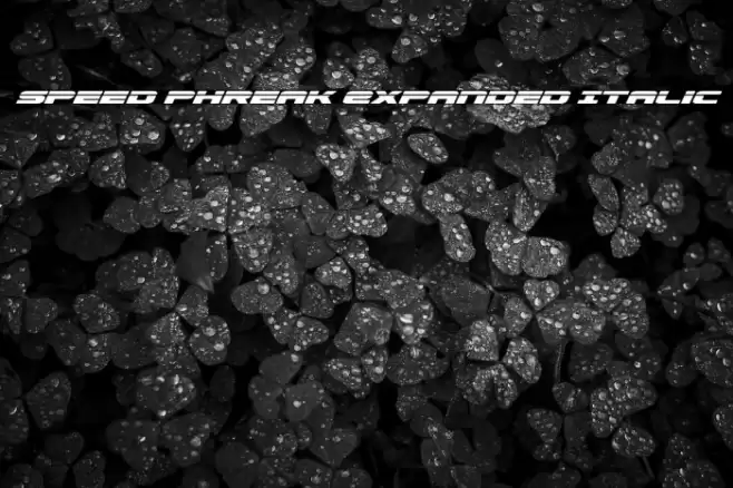 Speed Phreak Expanded Italic Font examples