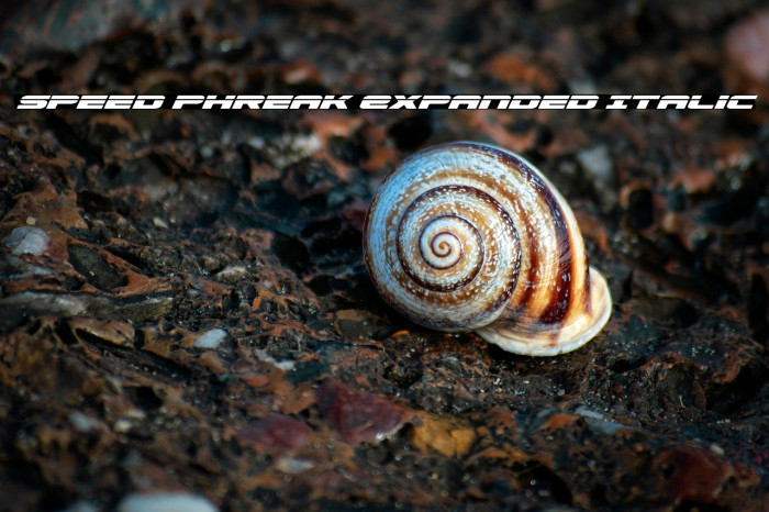 Speed Phreak Expanded Italic Example 2