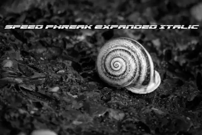 Speed Phreak Expanded Italic Font examples