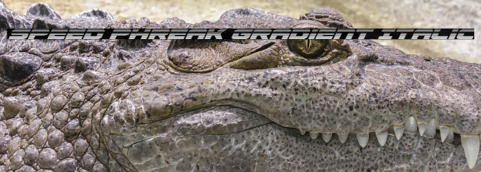 Speed Phreak Gradient Italic Example 1