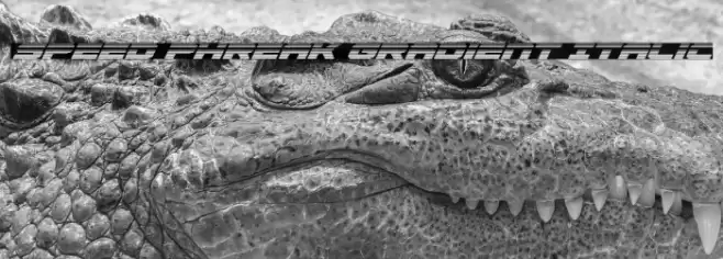 Speed Phreak Gradient Italic Font examples