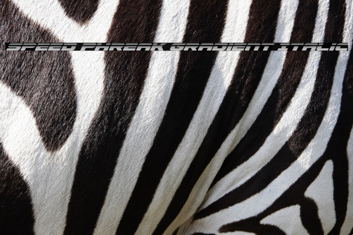 Speed Phreak Gradient Italic Example 3