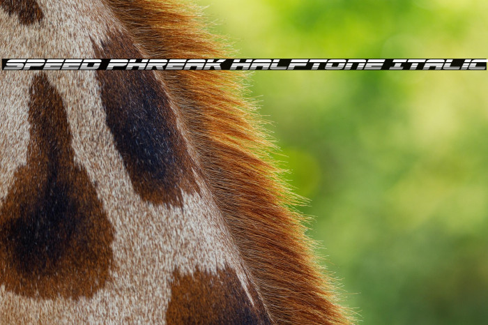 Speed Phreak Halftone Italic Example 1
