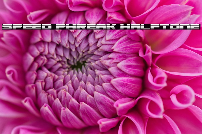 Speed Phreak Halftone Example 3