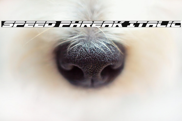 Speed Phreak Italic Example 3