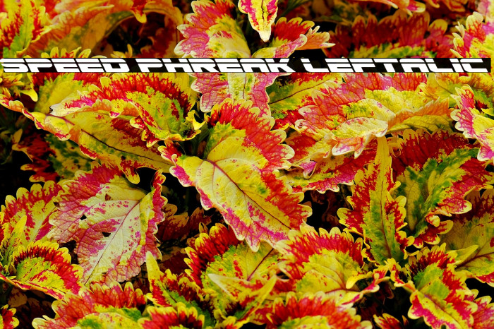 Speed Phreak Leftalic Example 2