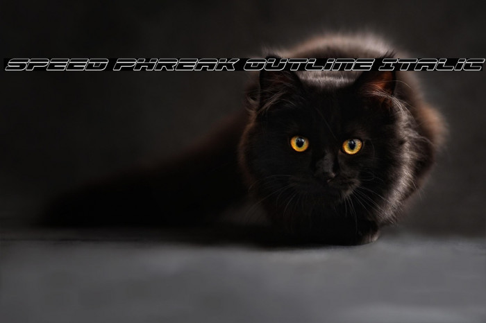 Speed Phreak Outline Italic Example 2