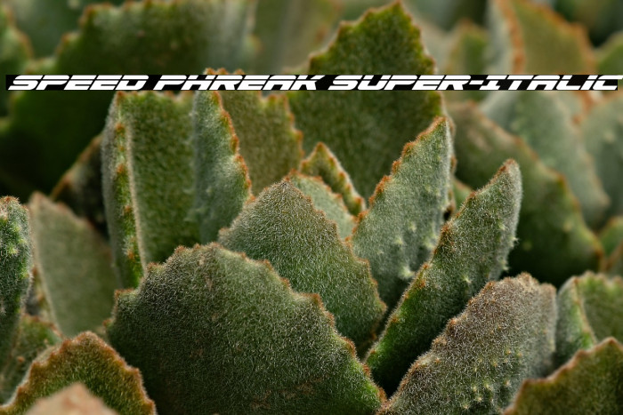 Speed Phreak Super-Italic Example 2