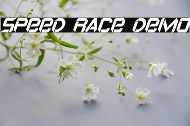 Speed Race Demo Example 1