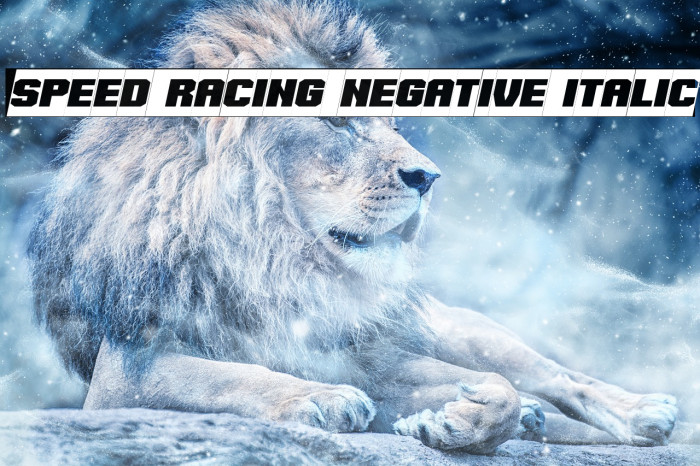 Speed Racing Negative Italic Font examples