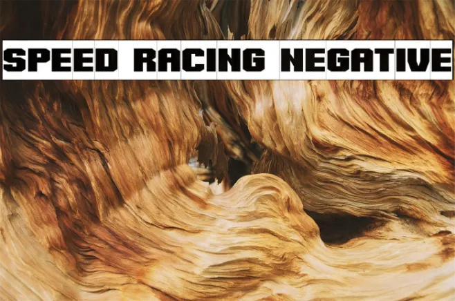 Speed Racing Negative Example 3