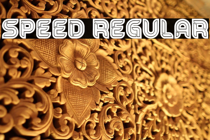 Speed Regular Font examples