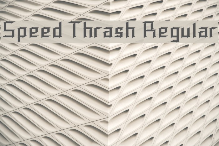 Speed Thrash Regular Font examples