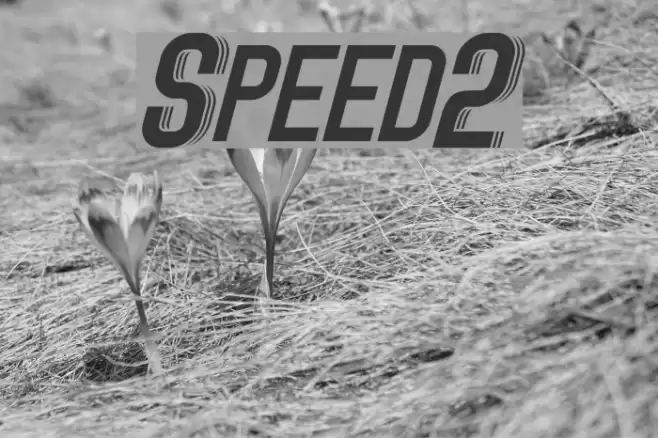 Speed2 Font examples