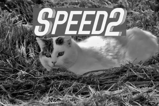 Speed2 Font examples