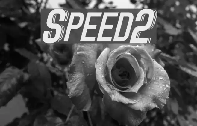 Speed2 Font examples