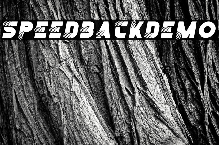 SpeedBackDemo Example 2