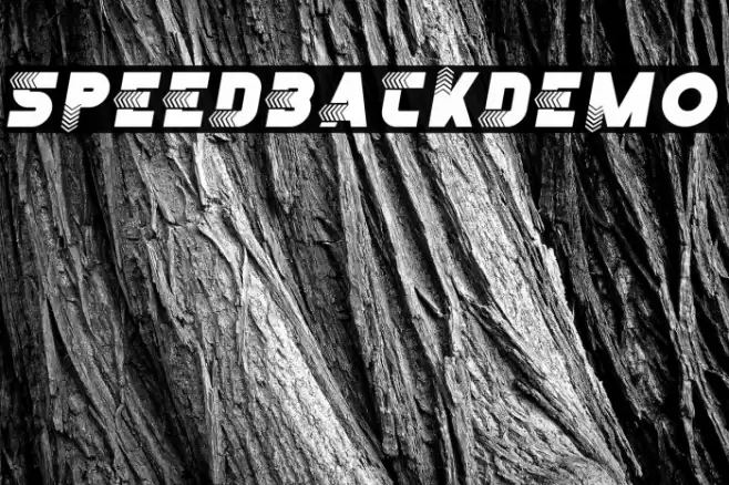 SpeedBackDemo フォント examples