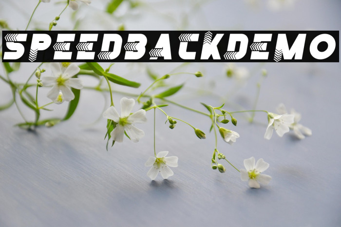 SpeedBackDemo Example 3