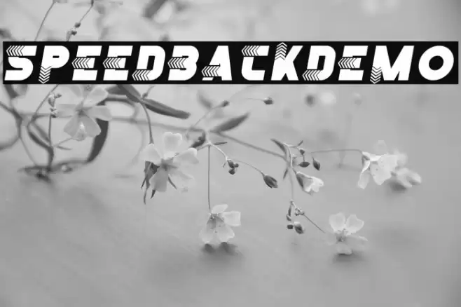SpeedBackDemo フォント examples