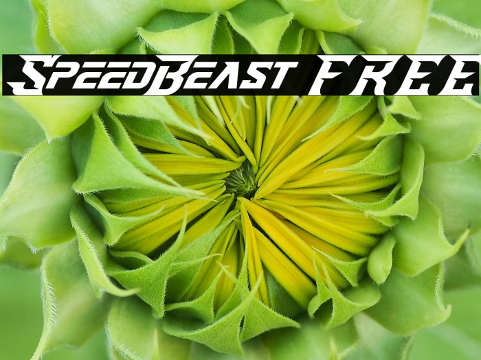 SpeedBeast FREE Example 1