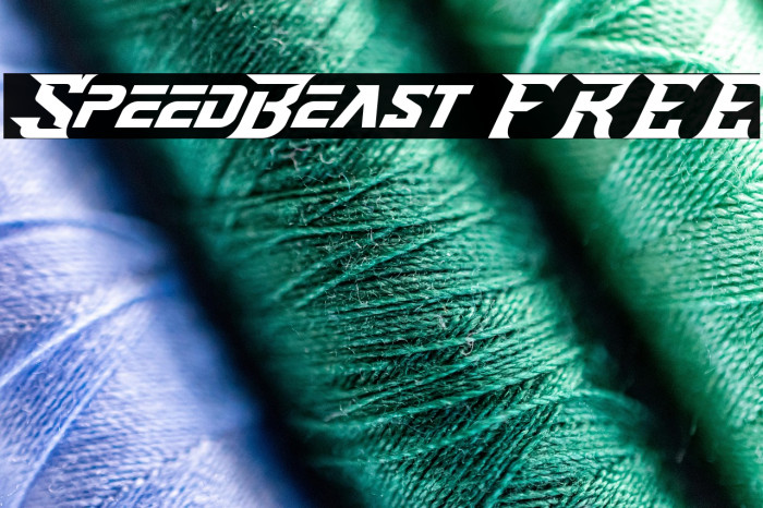 SpeedBeast FREE Example 3