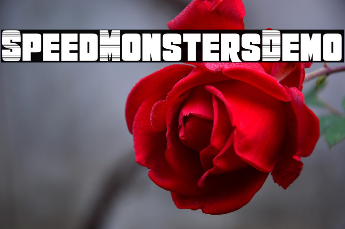 SpeedMonstersDemo Example 1