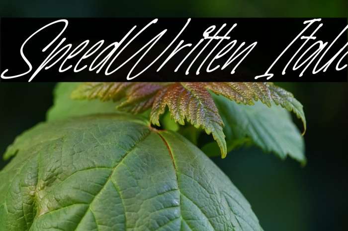 SpeedWritten Italic Example 2