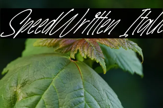 SpeedWritten Italic Example 2