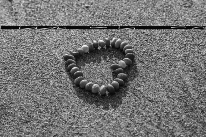 SpeedWritten Swash Font examples