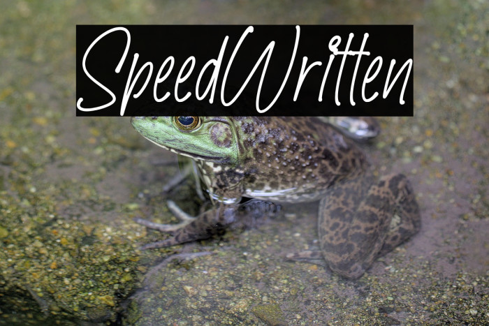 SpeedWritten Example 3
