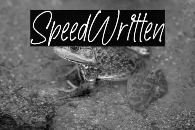 SpeedWritten Font examples