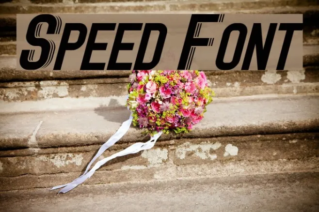 Speed Example 2