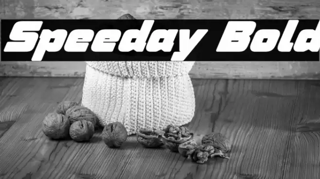 Speeday Bold Font examples