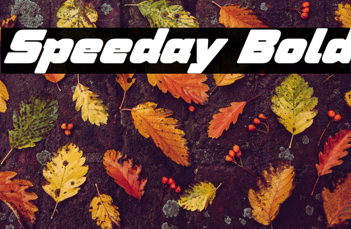 Speeday Bold Example 3