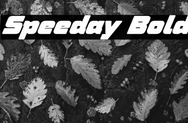 Speeday Bold Font examples