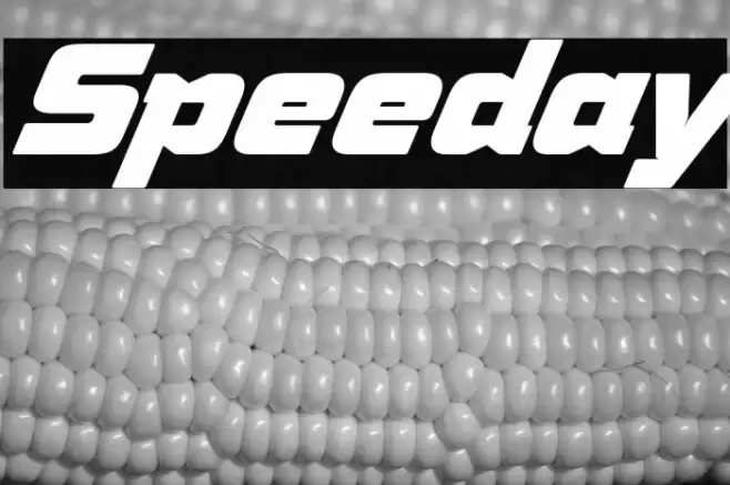 Speeday Font examples