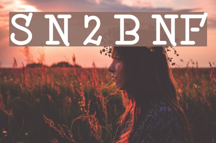 Speedball No 2 Bold NF Example 1