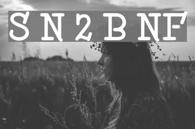 Speedball No 2 Bold NF Font examples