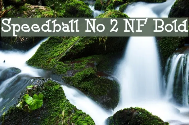 Speedball No 2 NF Bold Example 1