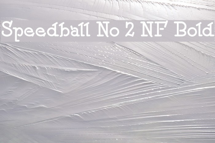 Speedball No 2 NF Bold Font examples
