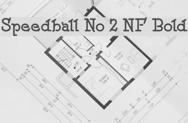 Speedball No 2 NF Bold Example 3