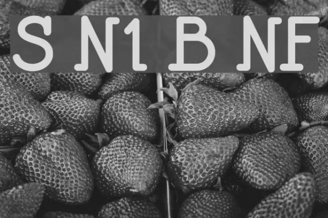 Speedball No1 Bold NF Font examples