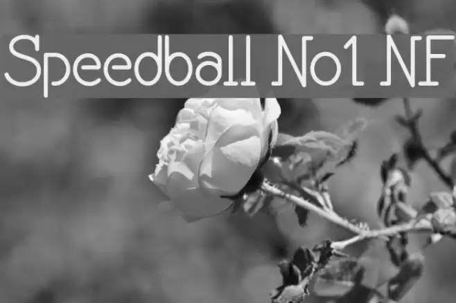 Speedball No1 NF Font examples