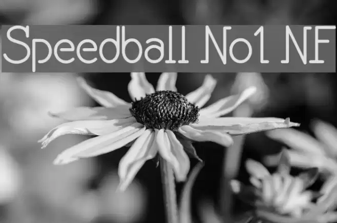 Speedball No1 NF Font examples