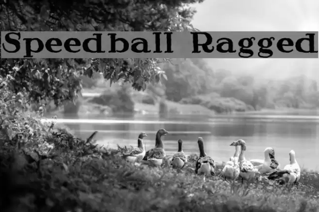Speedball Ragged Font examples