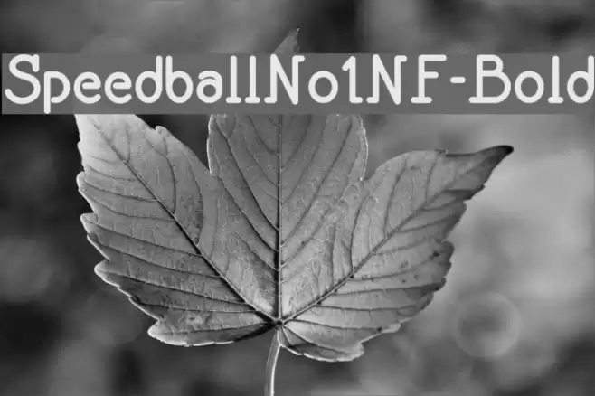 SpeedballNo1NF-Bold Font examples